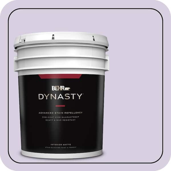 BEHR DYNASTY 5 gal. #M560-2 Fanciful Matte Interior Stain-Blocking Paint & Primer