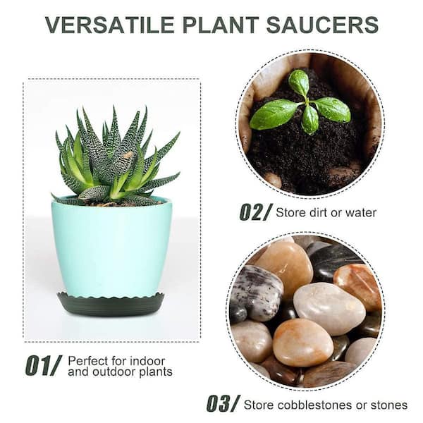best fertilizer for monstera Monstera Plant Food  Enriched, Bioavailable Liquid Fertilizer