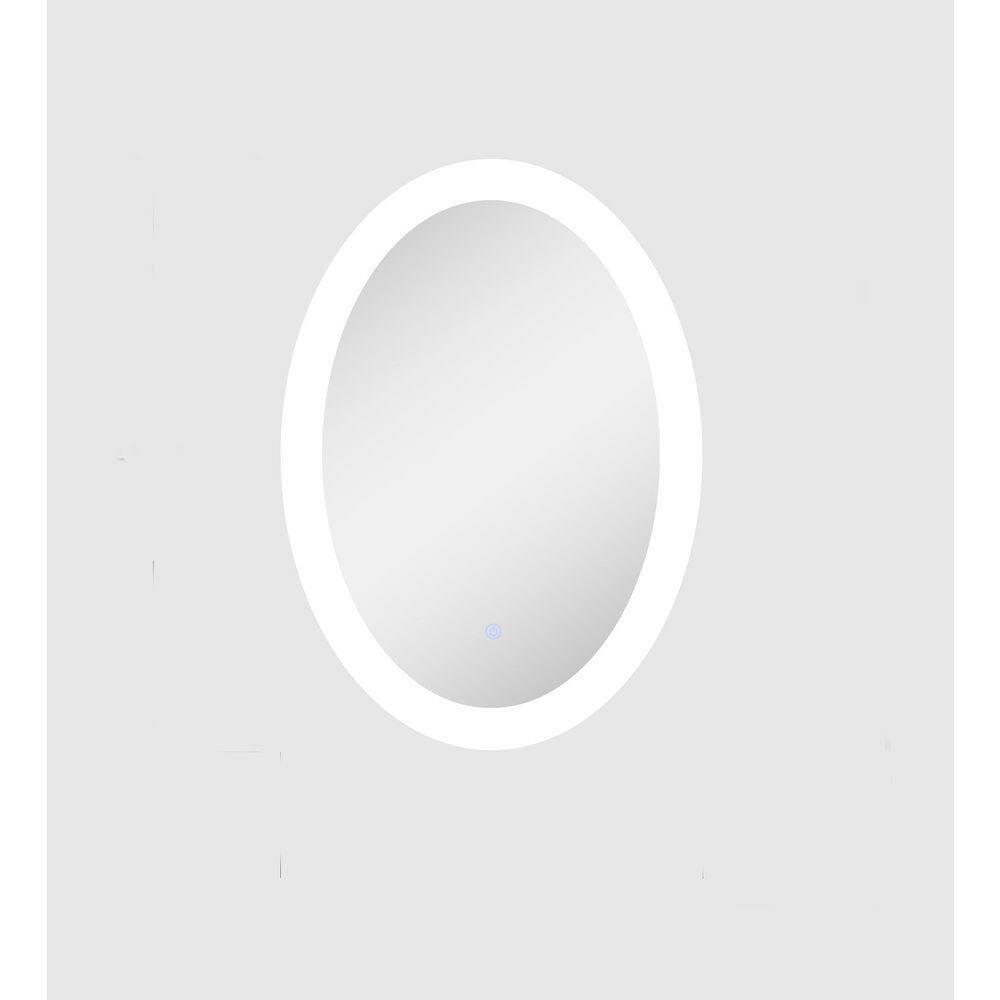 20 in. W x 28 in. H Oval Frameless Wall Mounted Bathroom Vanity Mirror with