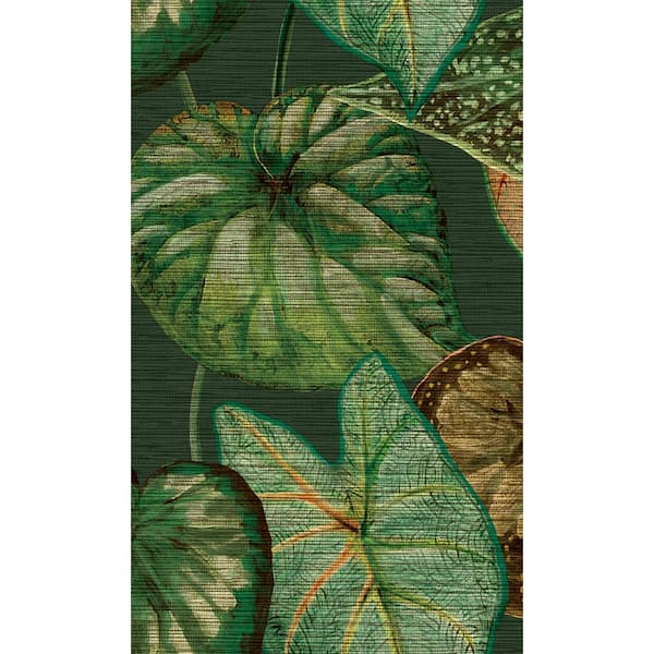 Walls Republic Tropical Leaves Green Non-Woven Paste the Wall Textured Wallpaper 57 sq. ft.