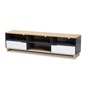 Reed Gray and Oak Modern TV Stand