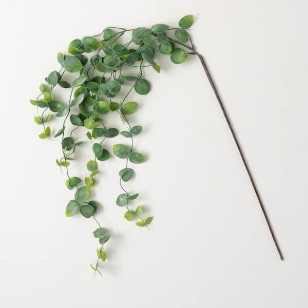 SULLIVANS 44" Silver Dollar Eucalyptus Drop; Green