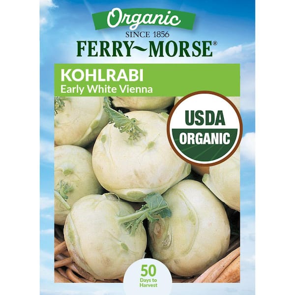 Organic Kohlrabi Early White Vienna Vegetable Seeds