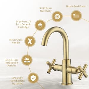 Modern Double Handle Single Hole Brass Bathroom Faucet with Spot Resistant in Brushed Gold