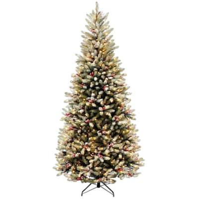 The Candy Tree Company