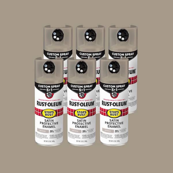 12 oz. Custom Spray 5-in-1 Satin Driftwood Spray Paint (Case of 6)
