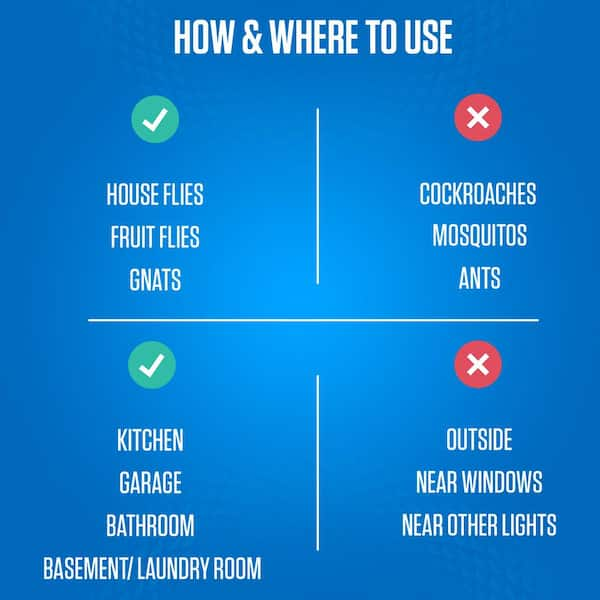 Safer Home Indoor Flying Insect Trap for Fruit Flies, Gnats, Moths, House  Flies (1 Plug-In Base and 2 Refill Glue Cards)