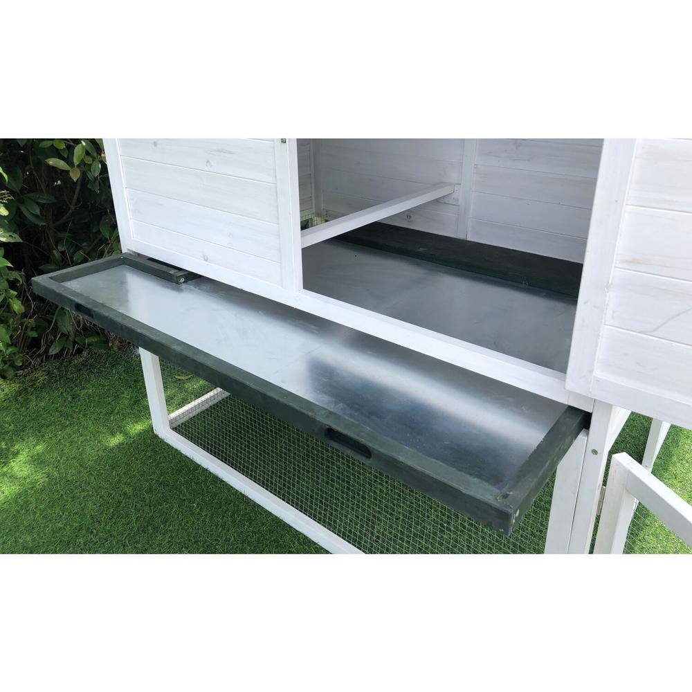 White and Black Elevated Wooden Chicken Coop with Ramp and Wire Mesh Run