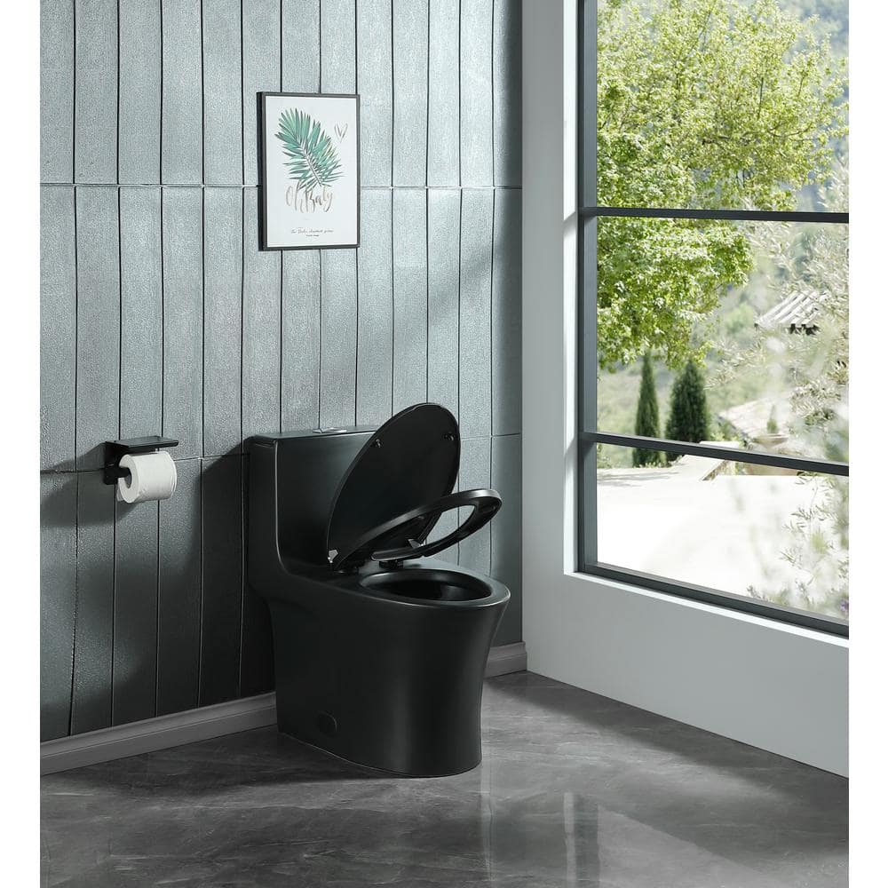 Matte Black Ceramic Dual-Flush Elongated One-Piece Toilet