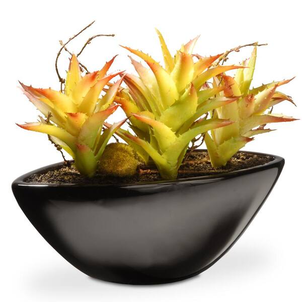 National Tree Company 9.8 in. Succulent in Ceramic Pot