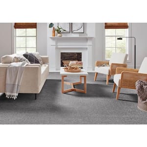 Playful Moments II Pebble Path Gray 49 oz Triexta/PET Texture Installed Carpet