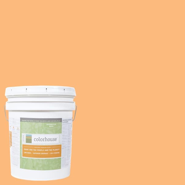 Colorhouse 5 gal. Sprout .02 Flat Interior Paint