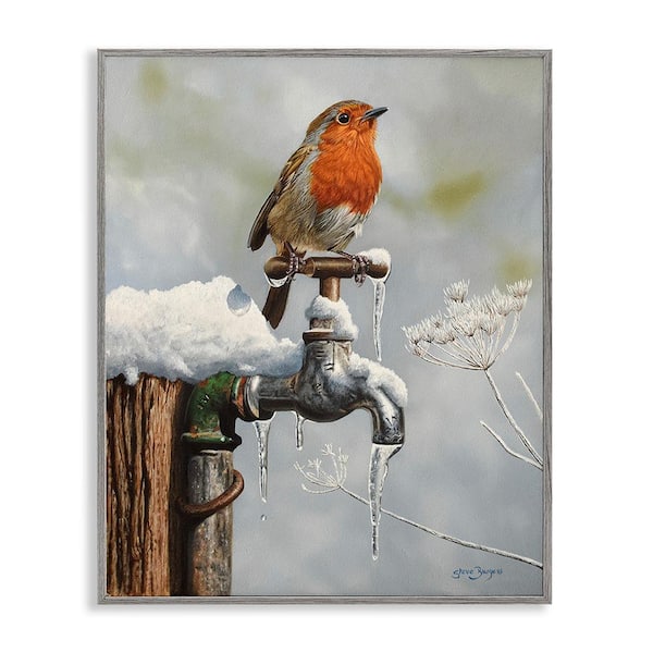 Stupell Industries Robin Bird and Winter Scene by Steve Burgess 1 Piece Framed Graphic Print Animal Poster Art Print 30 in. x 24 in.