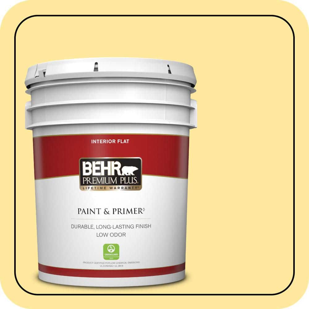 5 gal. #P300-4 Rise and Shine Flat Low Odor Interior Paint & Primer price history on PriceWatchPro