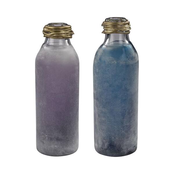 Titan Lighting Metal Neck 6 in. x 16 in. Glass Decorative Bottles in Blue and Purple (Set of 2)