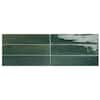 Daltile Remedy Herbal 2-3 8 In. X 9-5 8 In. Glazed Porcelain Subway 