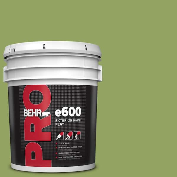 BEHR PRO 5 gal. #PPU10-04 New Bamboo Flat Exterior Paint
