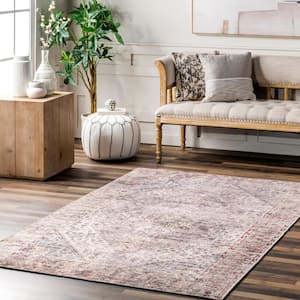 Kirsty Traditional Distressed Cotton Rust 3 ft. x 5 ft. Accent Rug