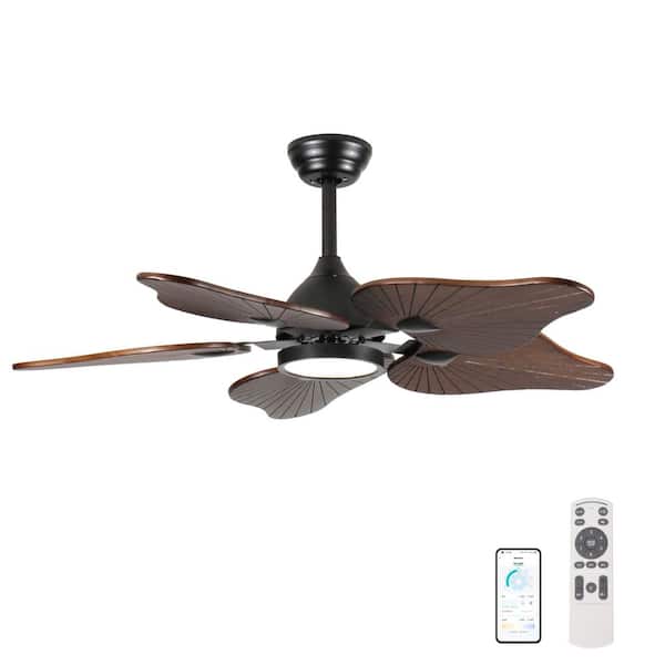 44 in. Modern Black Solid Wood Brown Downrod Mount Standard Ceiling Fan with Dimmable Full-Spectrum LED Light and APP