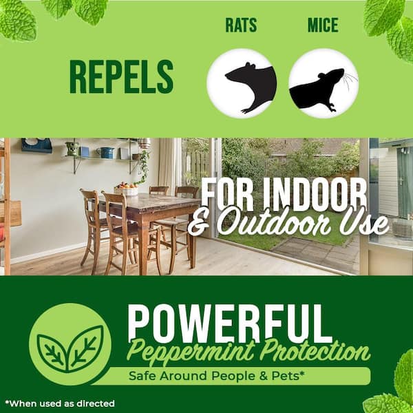 130 oz. Peppermint Oil Rodent Repellent Spray