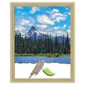 Lucie Champagne Wood Picture Frame Opening Size 11 x 14 in.