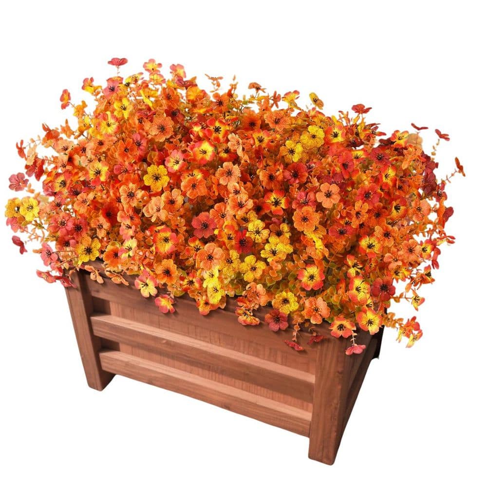Home Depot Fall Plants
