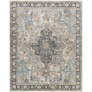 Hassler Charcoal 5 ft. x 7 ft. Oriental Indoor Area Rug