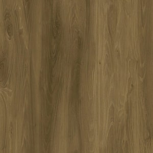 GlueCore Greywood 22 MIL x 7.3 in. W x 48 in. L Glue Down Waterproof Luxury Vinyl Plank Flooring (39 sqft/case)