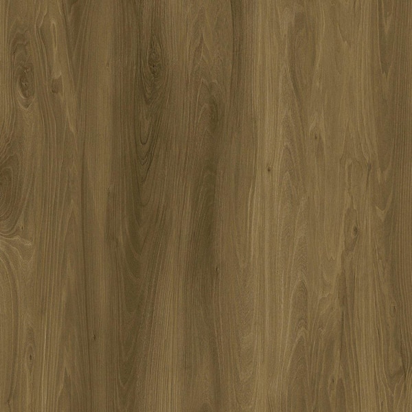 Lucida Surfaces GlueCore Greywood 22 MIL x 7.3 in. W x 48 in. L Glue Down Waterproof Luxury Vinyl Plank Flooring (39 sqft/case)