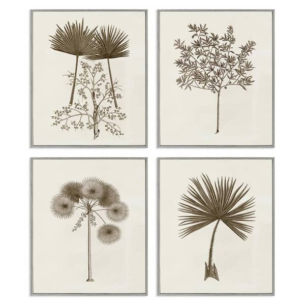 Various Vintage Palm Leaves by Phillipa Katz 4 Piece Gray Framed Nature Giclee Art Print 20 in. x 16 in.