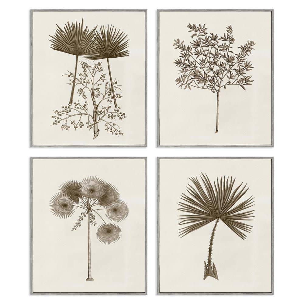 Various Vintage Palm Leaves by Phillipa Katz 4 Piece Gray Framed Nature Giclee Art Print 14 in. x 11 in. price history on PriceWatchPro