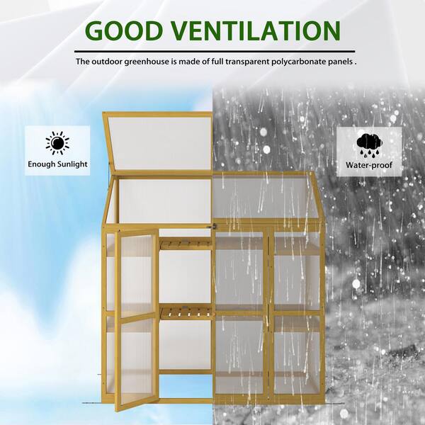 Unbranded - 53 in. W x 28 in. D x 54 in. H Outdoor Polycarbonate Pine Wood Greenhouse Garden Shed Cold Frame Greenhouse for Plants