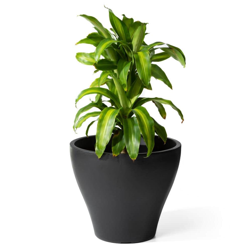 Fernway Onyx Black 25-Quart Weather-Resistant Round Planter