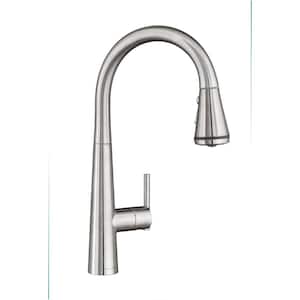 Edgewater Single-Handle Pull-Down Sprayer Kitchen Faucet with SelctFlo in Stainless Steel