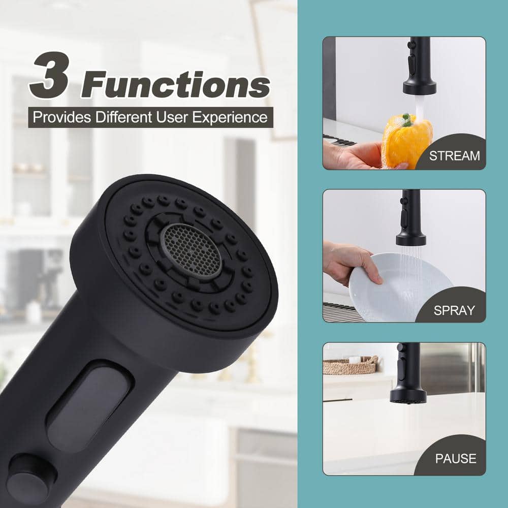 Matte Black High-Arc Kitchen Faucet with Pull-Out Spray
