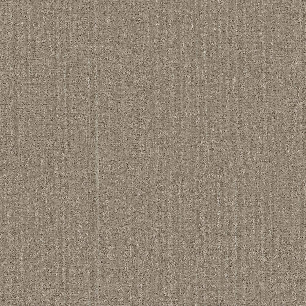 8 in. x 8 in. Pattern Carpet Sample - Lily Hill - Color Latte price history on PriceWatchPro