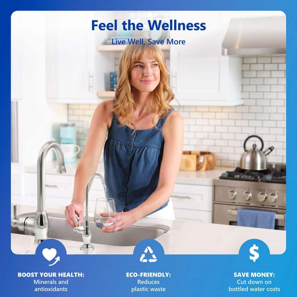 Express Water 10-Stage 50 GPD Alkaline RO Under-Sink Filtration System