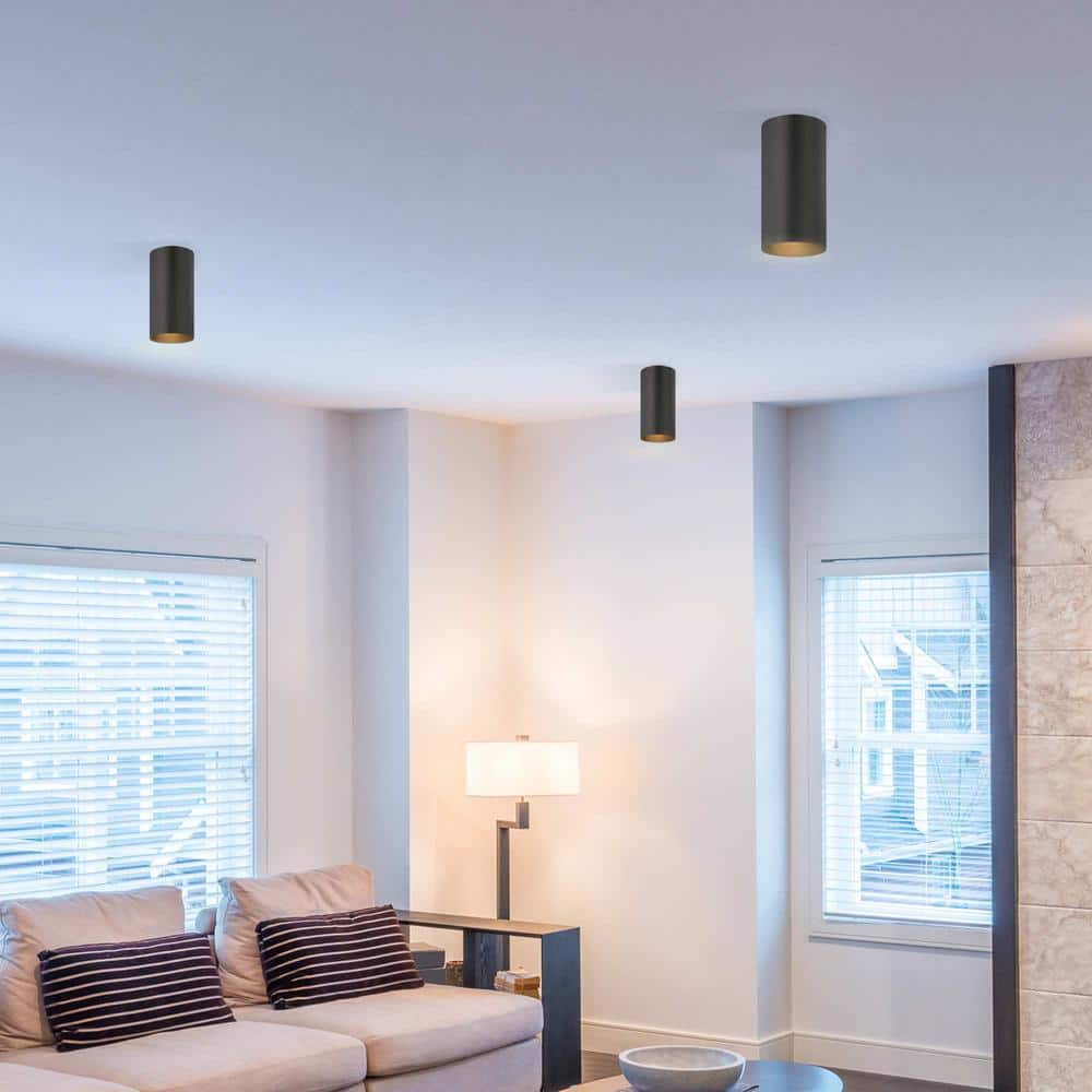 Black Aluminum 1-Light Flush Mount Ceiling Fixture