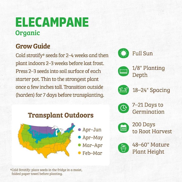 (1-Pack) Organic Elecampane Regenerative Seed
