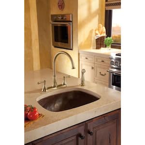 Cassidy 2-Handle Standard Kitchen Faucet with Side Sprayer in Champagne Bronze