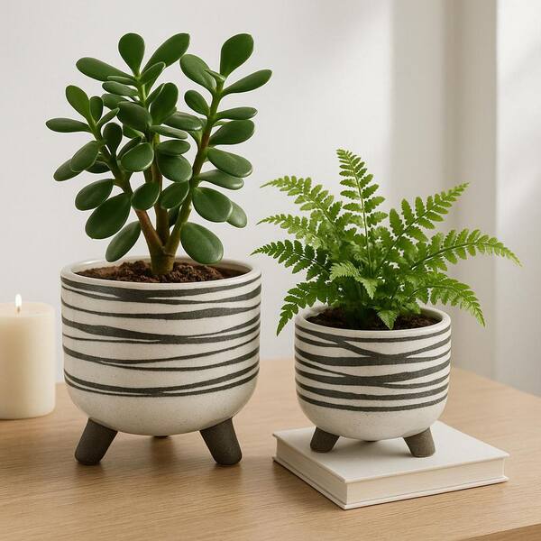 plastic tray plants 1020 No Drainage Black Plastic Carrier Trays