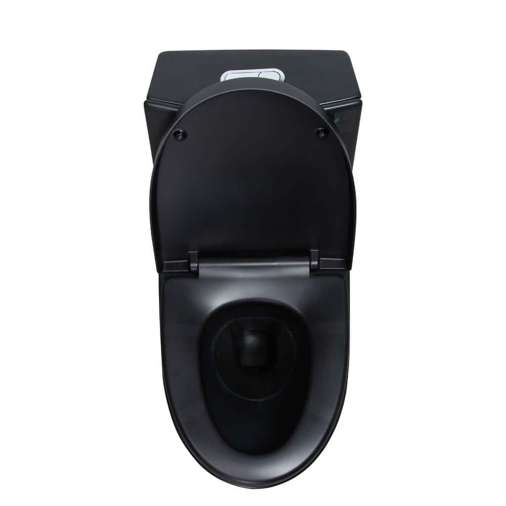 Matte Black Ceramic Dual Flush Elongated One-Piece Toilet