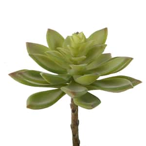 Set of 6 Jovibarba Emerald Spring Artificial Desktop Succulent Plant
