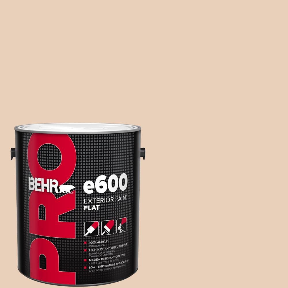 1 gal. #S230-1 Buff Tone Flat Paint price history on PriceWatchPro