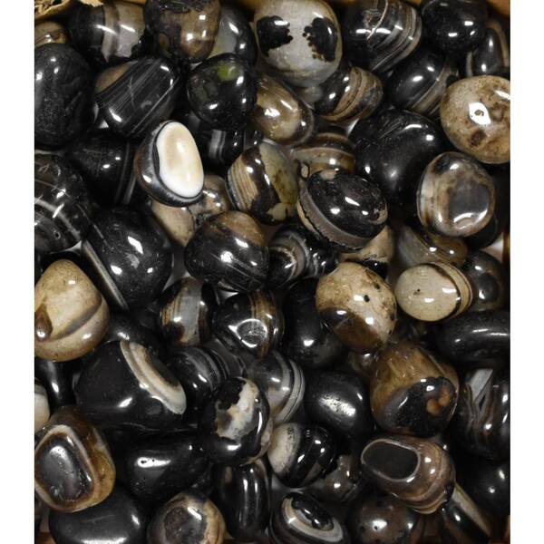 Cascade Stoneworks 0 128 Cu Ft 10 Lbs 1 2 In To 1 In Black Onyx Exotic High Polished Pebble Pb Ex Bo 10 The Home Depot