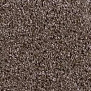 Founder - Scout - Brown 18 oz. SD Polyester Texture Installed Carpet