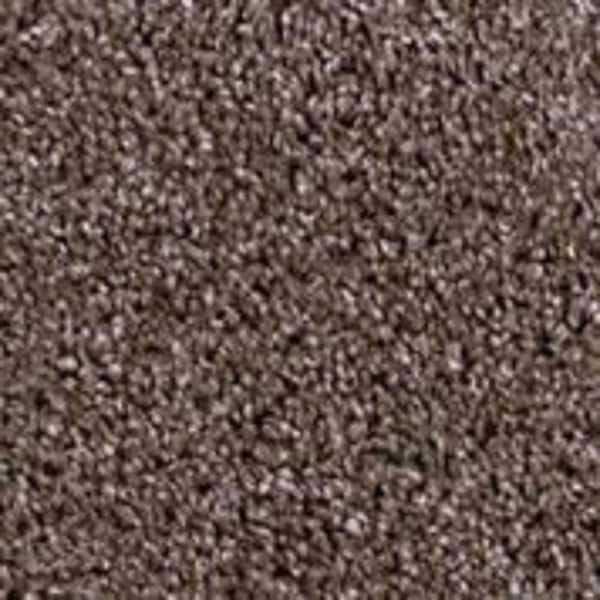 TrafficMaster Founder - Scout - Brown 18 oz. SD Polyester Texture Installed Carpet