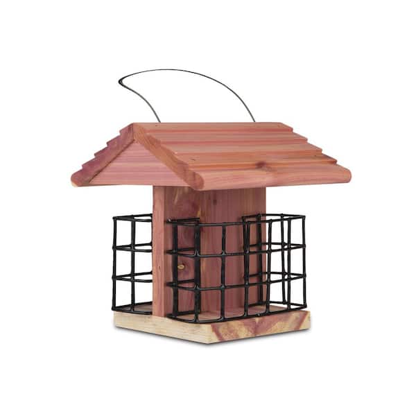 Cedar Suet Station