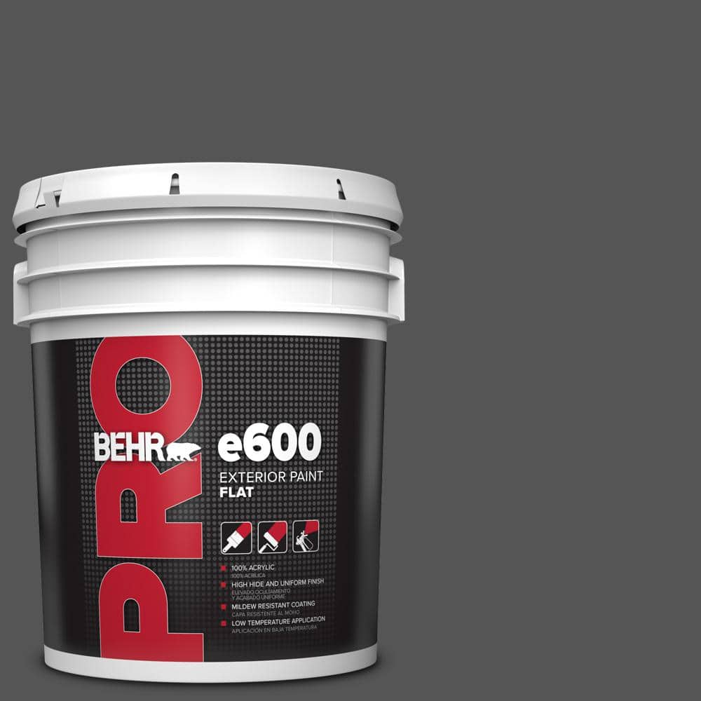 5 gal. #QE-62 Maximum Gray Flat Exterior Paint price history on PriceWatchPro