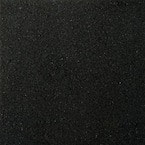 Granite Absolute Black Polished 12.01 in. x 12.01 in. Granite Floor and Wall Tile (1 sq. ft.)